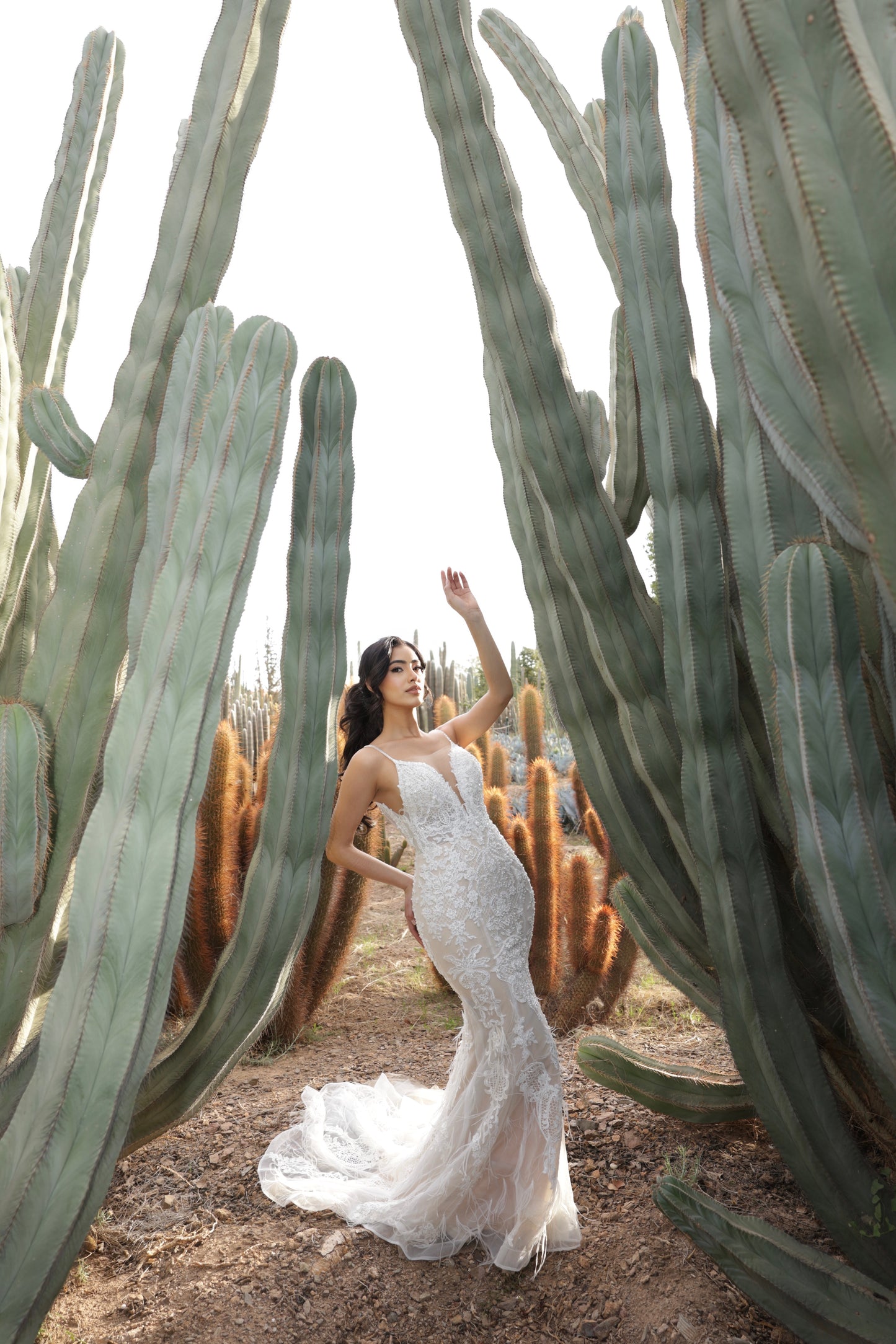 S A H A R A - Feather Fishtail Gown