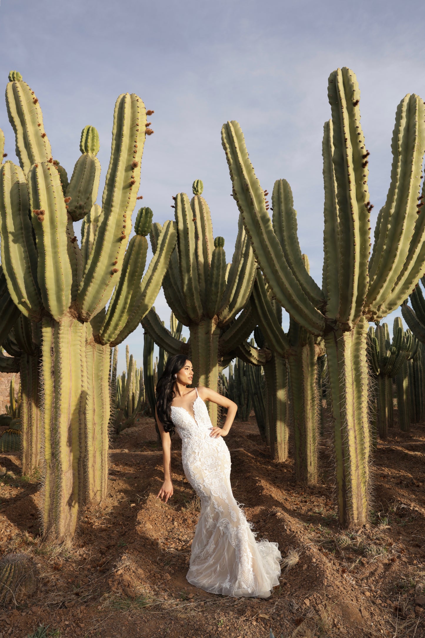 S A H A R A - Feather Fishtail Gown