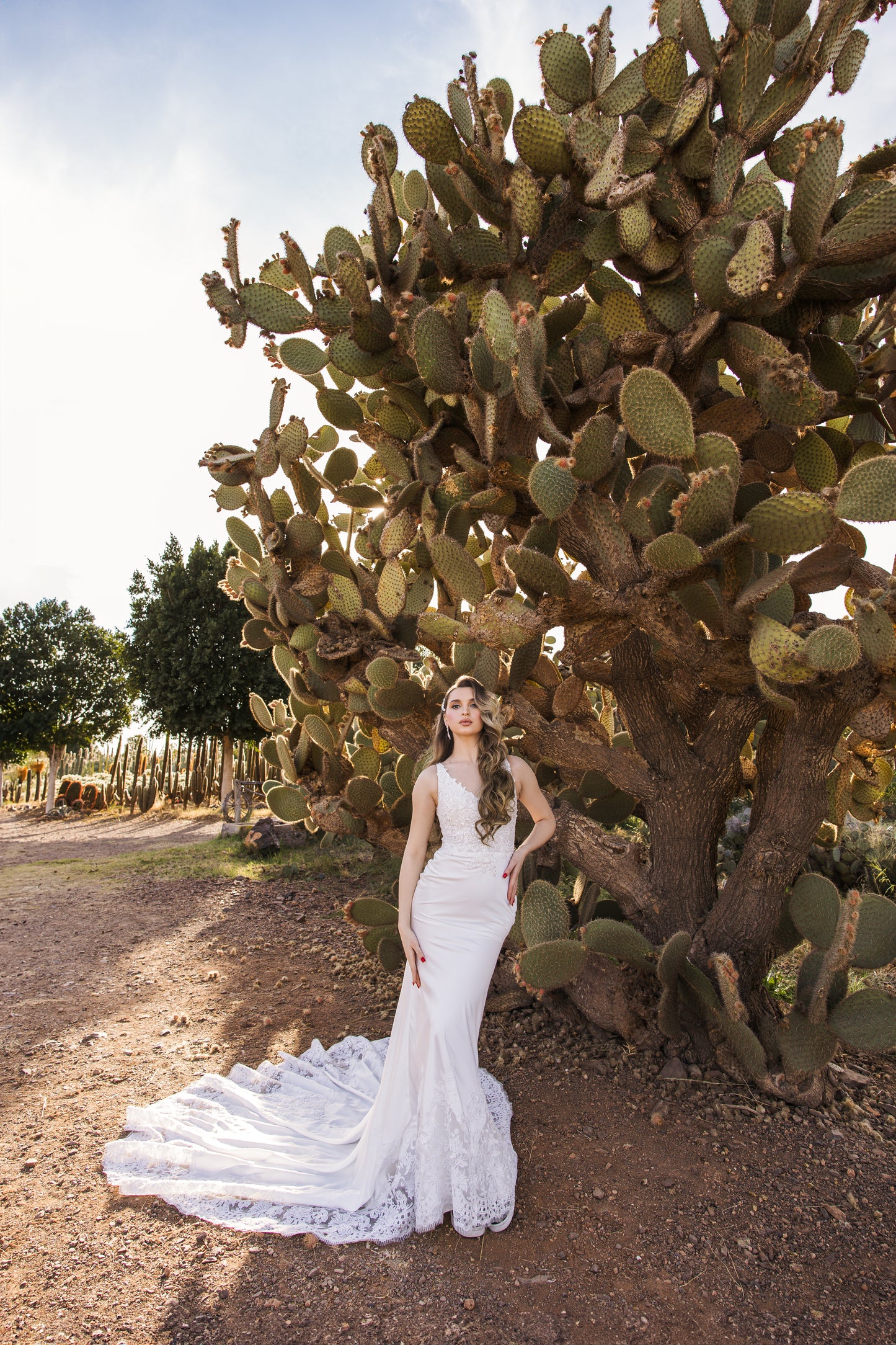 N I R V A N A - Satin Fishtail Gown